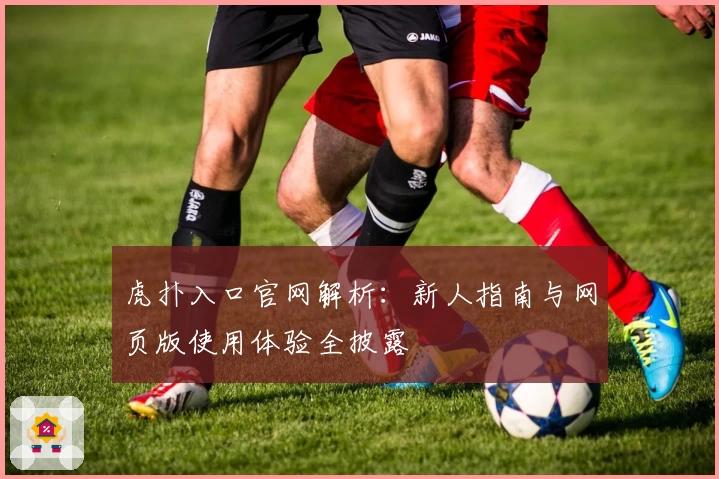 虎扑入口官网解析:新人指南与网页版使用体验全披露