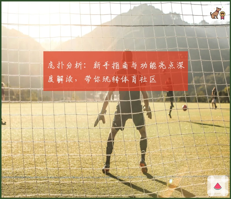 虎扑分析：新手指南与功能亮点深度解读，带你玩转体育社区