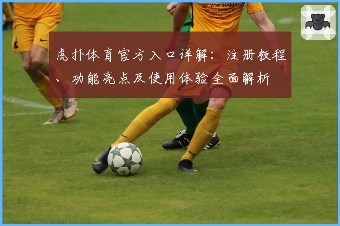 虎扑体育官方入口详解：注册教程、功能亮点及使用体验全面解析